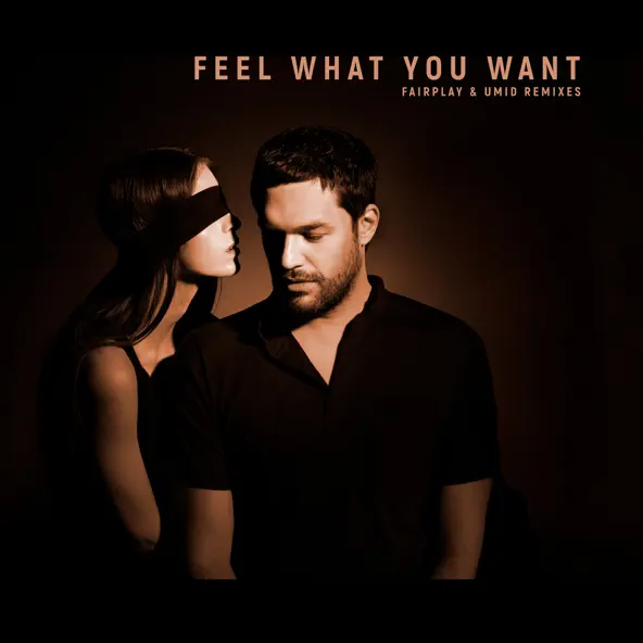 Скачать песню Phonique & Rebecca - Feel What You Want (Fairplay Remix)