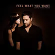 Скачать песню Phonique & Rebecca - Feel What You Want (Fairplay Remix)