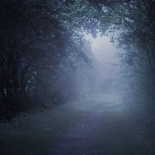 Скачать песню Misty - Тёмная Ночь
