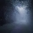 Скачать песню Misty - Тёмная Ночь