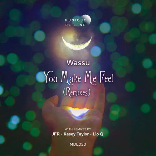 Скачать песню Wassu - You Make Me Feel (Lio Q Remix)