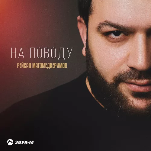 Скачать песню Рейсан Магомедкеримов - На Поводу