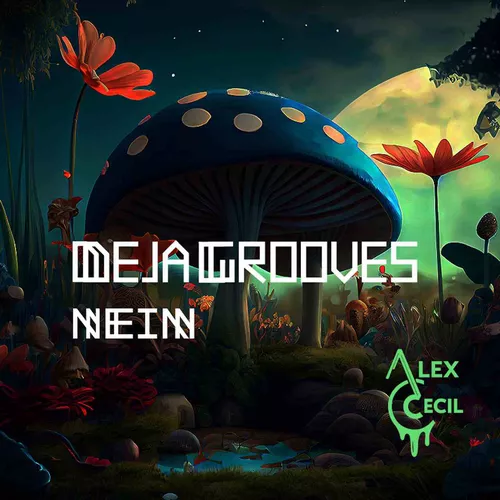 Скачать песню Alex Cecil - Deja Grooves (Original Mix)