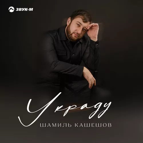 Скачать песню Шамиль Кашешов - Украду