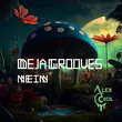 Скачать песню Alex Cecil - Deja Grooves (Original Mix)