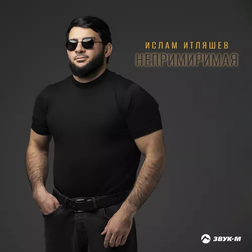Скачать песню Ислам Итляшев - Непримиримая