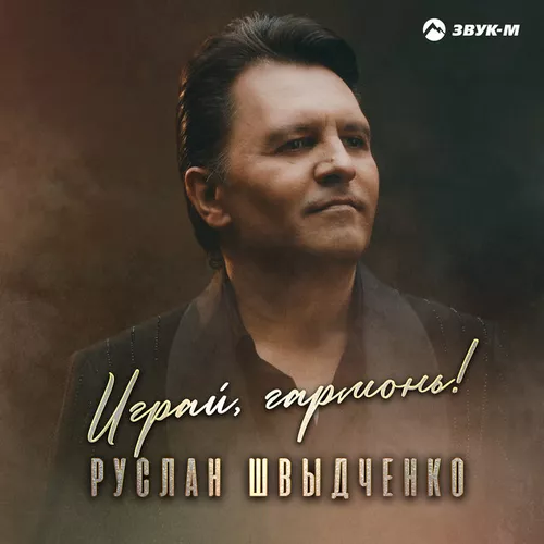 Скачать песню Руслан Швыдченко - Играй, Гармонь!