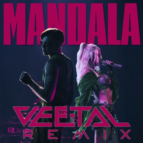 Скачать песню Rasa & Dashi - Mandala (Vee-Tal Remix)