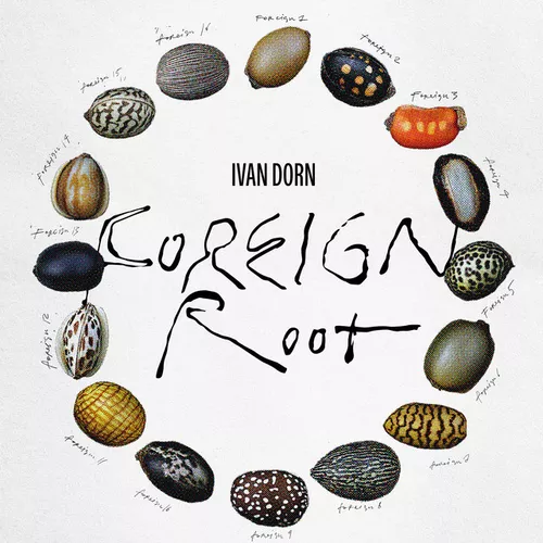 Скачать песню Иван Дорн - Foreign Root