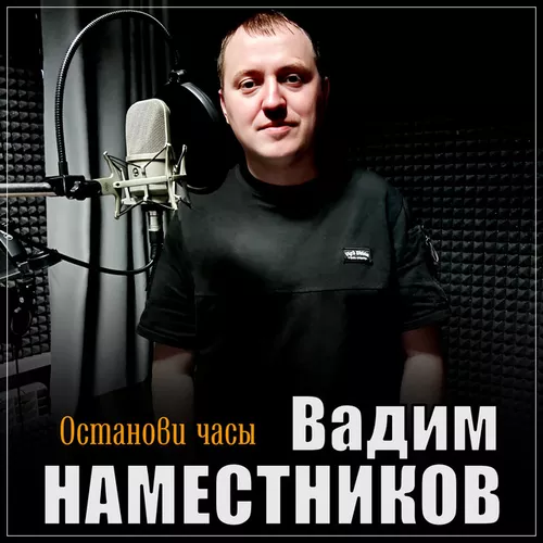 Скачать песню Вадим Наместников - Останови Часы