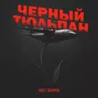 Скачать песню Олег Бодров - Черный Тюльпан