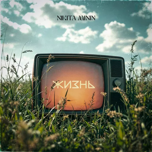 Скачать песню Nikita Minin - Жизнь