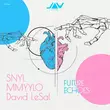 Скачать песню Snyl & David Lesal - I Remember Those Nights (Original Mix)