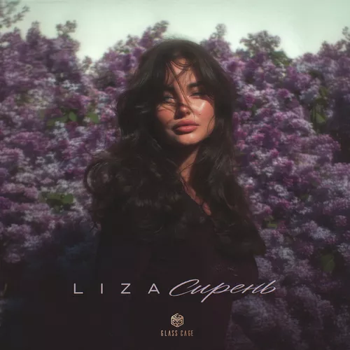 Скачать песню Liza - Сирень