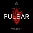 Скачать песню Alan Wools & Etonika - Pulsar (Original Mix)