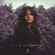 Скачать песню Liza - Сирень
