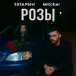 Скачать песню Татарин - Розы (feat. Mitchel)