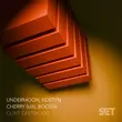 Скачать песню Undermoon & Kostyn feat. Cherry (UA) & Boosin - Clint Eastwood (Extended Mix)