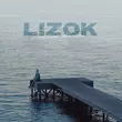 Скачать песню Lizok - Тонкими Линиями