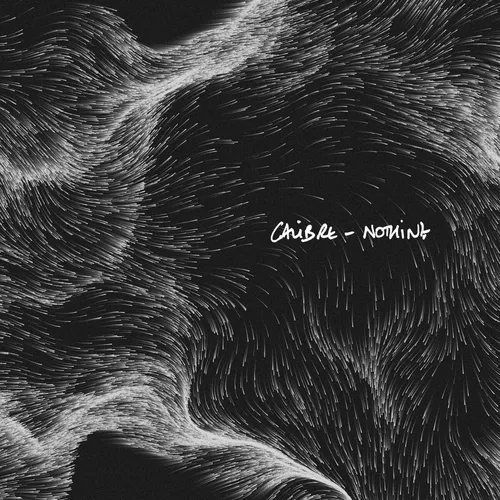 Скачать песню Calibre - Nothing