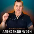 Скачать песню Александр Чурей - Я Тебе Понравился