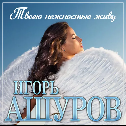 Скачать песню Игорь Ашуров - Твоею Нежностью Живу