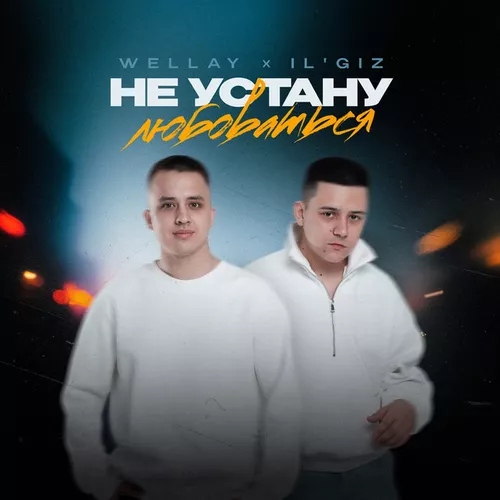 Скачать песню Wellay - Не Устану Любоваться (feat. Il'giz)
