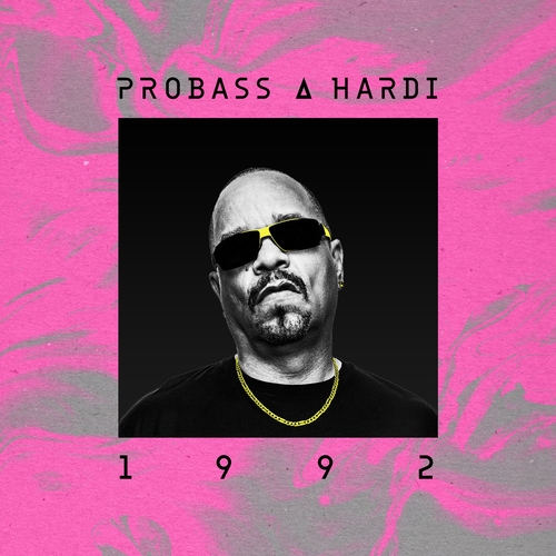 Скачать песню Probass ∆ Hardi - 1992 (Original Mix)