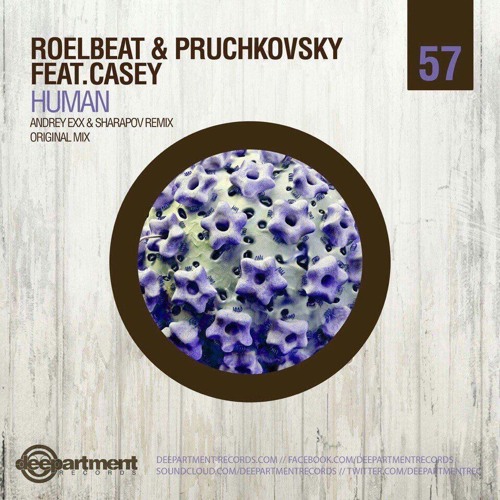 Скачать песню RoelBeat & Pruchkovsky feat. Casey - Human (Original Mix)
