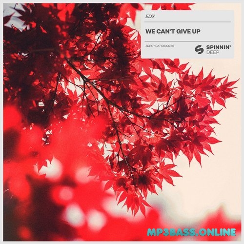 Скачать песню EDX - We Can't Give Up (Extended Mix)