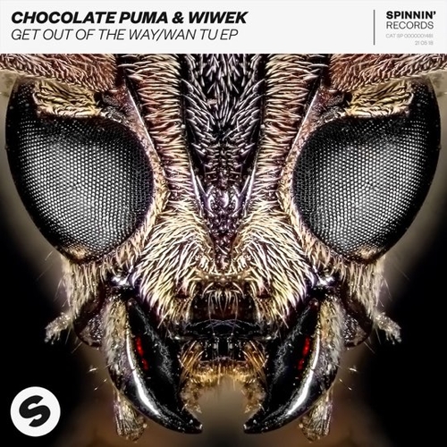 Скачать песню Chocolate Puma & Wiwek - Get Out Of The Way (Extended Mix)