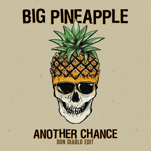 Скачать песню Big Pineapple - Another Chance (Don Diablo Extended Edit)