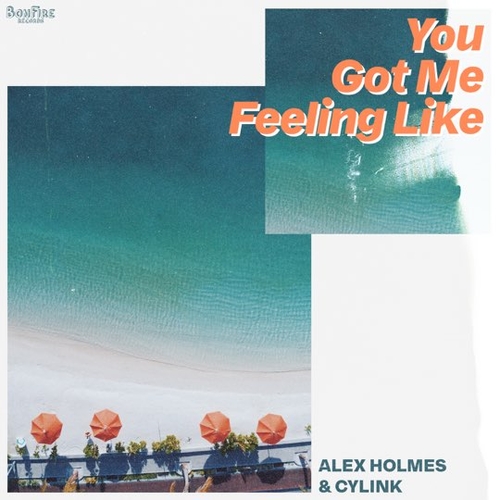 Скачать песню Alex Holmes & Cylink - You Got Me Feeling Like (Extended Mix)