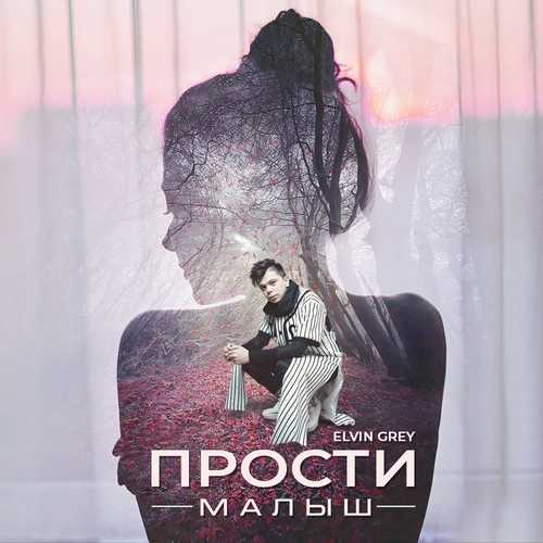 Скачать песню Elvin Grey - Прости Малыш