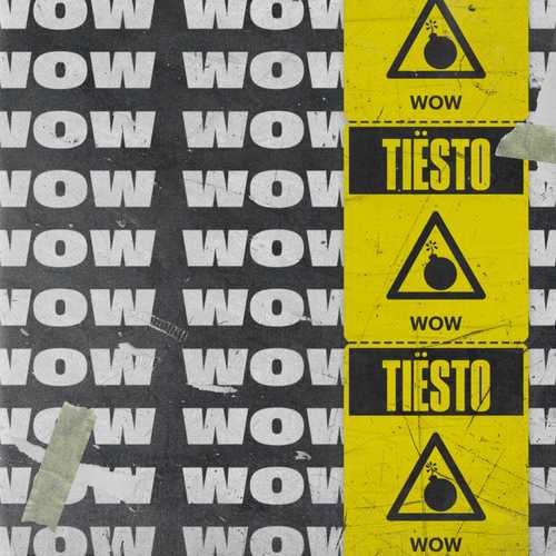 Скачать песню Tiesto - Wow (Radio Edit)