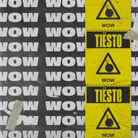 Скачать песню Tiesto - Wow (Radio Edit)