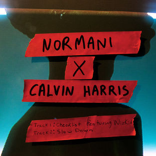 Скачать песню Normani - Slow Down (feat. Calvin Harris)