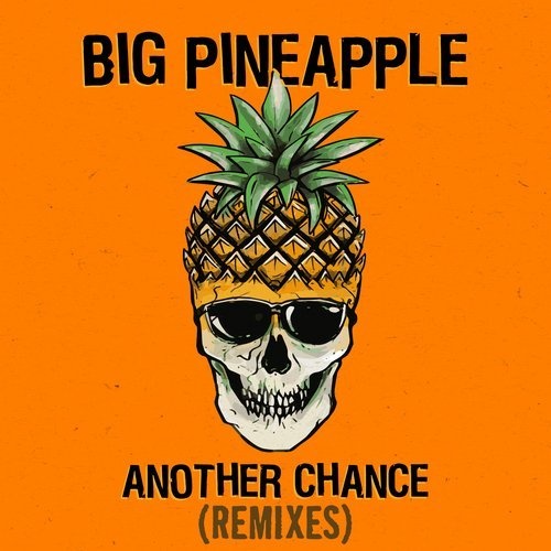 Скачать песню Big Pineapple - Another Chance (Don Diablo Chill Mix)