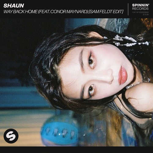 Скачать песню SHAUN & Conor Maynard - Way Back Home (Sam Feldt Edit)