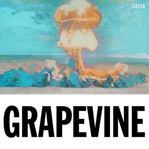 Скачать песню Tiësto - Grapevine (Tujamo Remix)