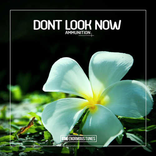 Скачать песню Dont Look Now - Ammunition (Fort Arkansas Remix)