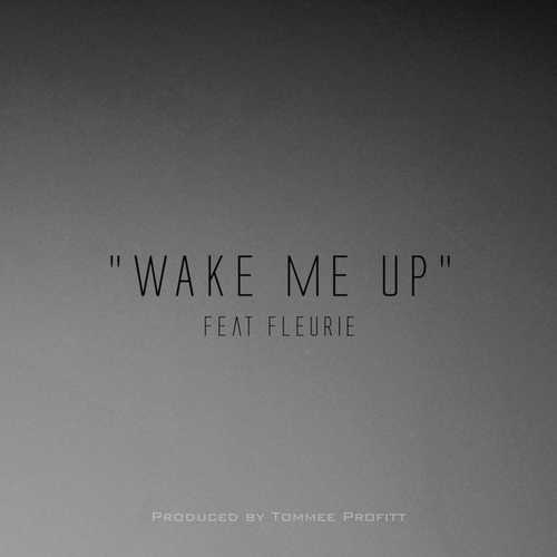 Скачать песню Tommee Profitt - Wake Me Up (feat. Fleurie)