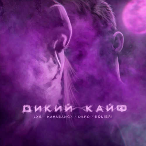 Скачать песню LXE - Дикий Кайф (feat. Kavabanga Depo Kolibri)