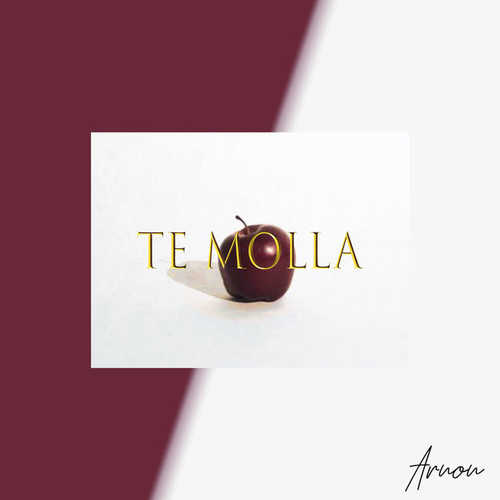 Скачать песню Arnon - Te Molla (feat. Killua)