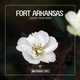 Скачать песню Fort Arkansas - Touch Your Body (Original Club Mix)