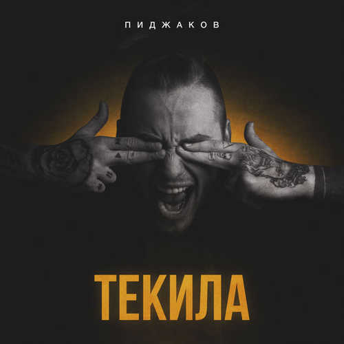 Скачать песню Пиджаков - Текила