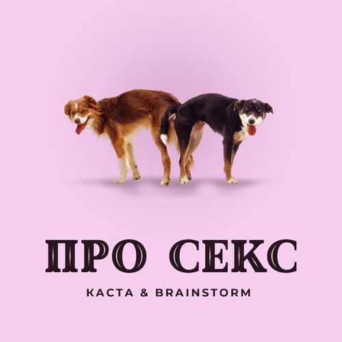 Скачать песню Каста - Про Секс (feat. BrainStorm)