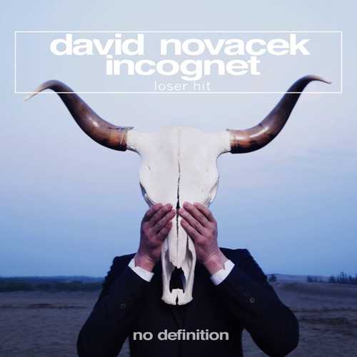 Скачать песню Incognet & David Novacek - Loser Hit (Original Club Mix)