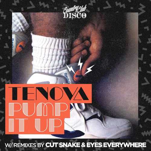Скачать песню Tenova - Pump It Up (Cut Snake Remix)
