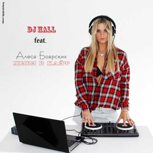 Скачать песню Алеся Боярских & DJ HaLL - Живи В Кайф (Radio Edit)